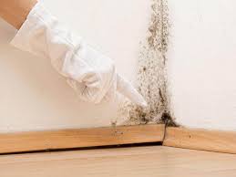 Mold Remediation for Rental Properties in Pine Grove Mills, PA